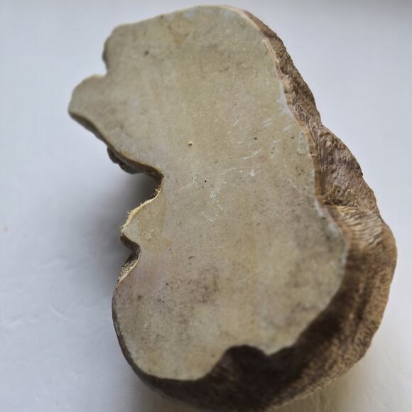 Sleeping Cat Resin Gray and Brown Coloring Very Lightweight Home/Porch Decor - Picture 7 of 8